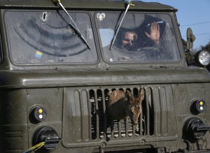Ukrainian serviceman rides on a military vehicle as they leave area around Debaltseve
