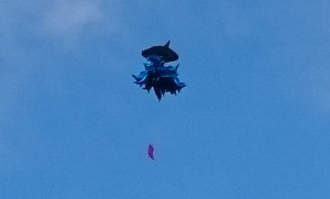 აქციის მონაწილეებმა კანცელარიასთან ცაში ზვიგენი გაუშვეს (ფოტო)